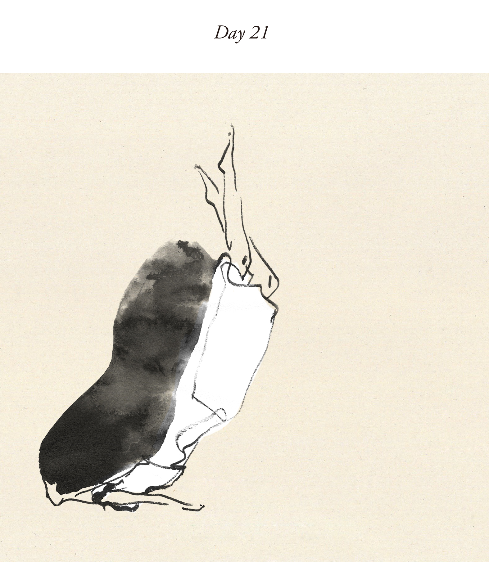 day21