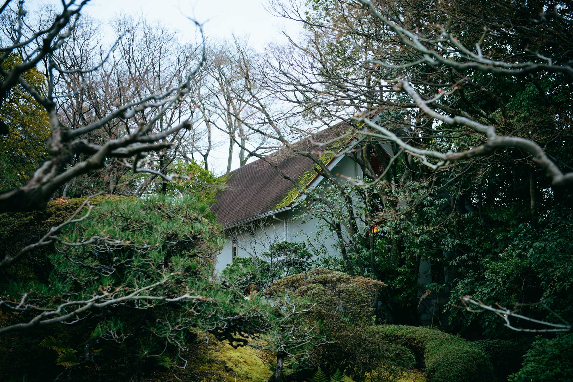 190323_mikage-romance_39