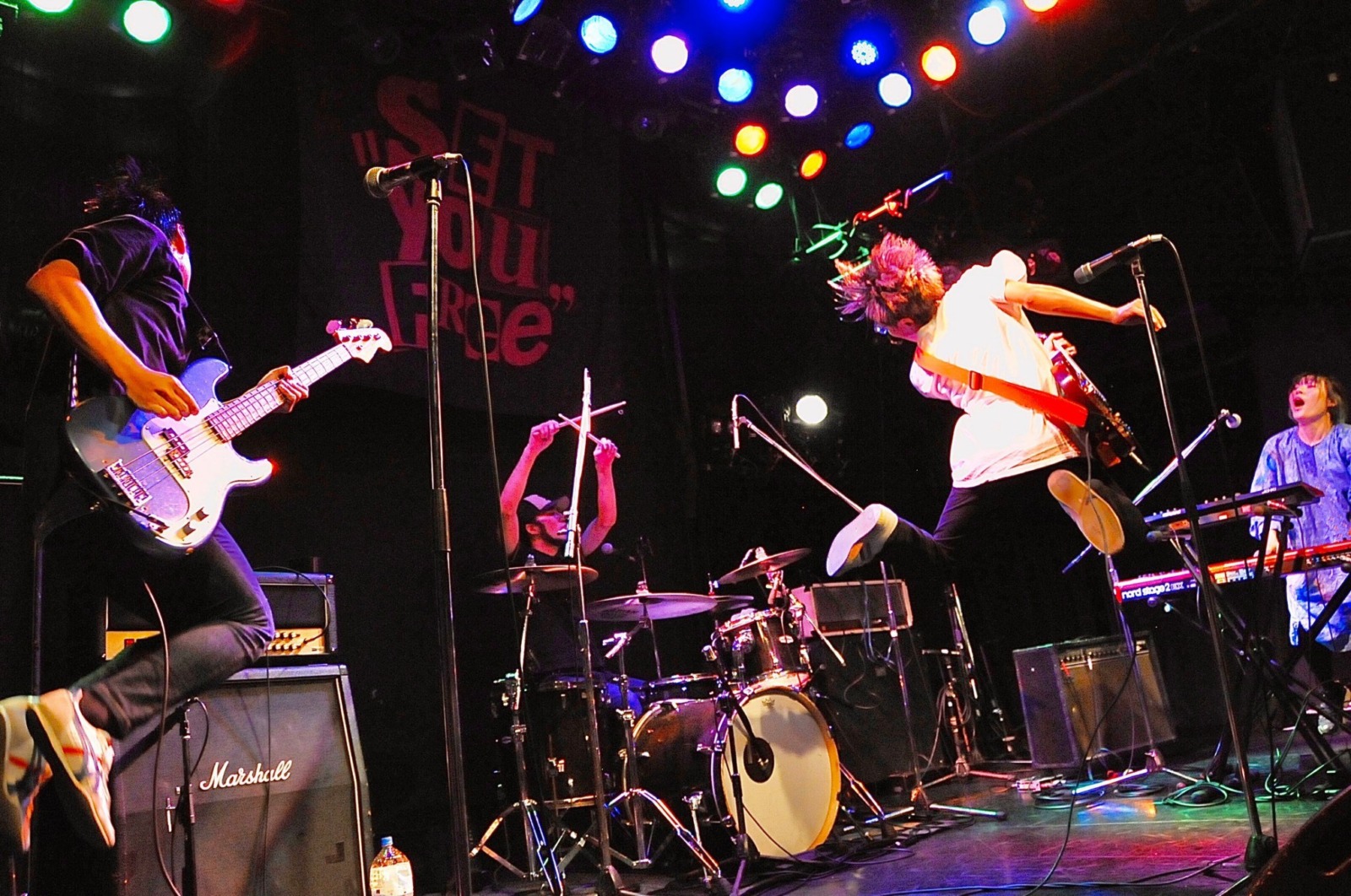 2011_pangea